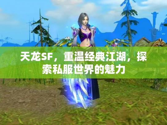天龙SF，重温经典江湖，探索私服世界的魅力