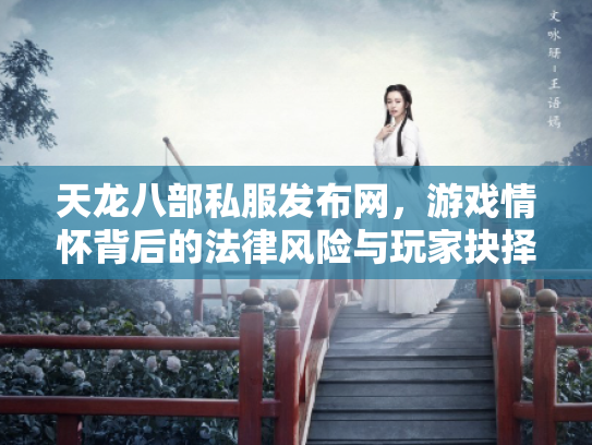 天龙八部私服发布网，游戏情怀背后的法律风险与玩家抉择