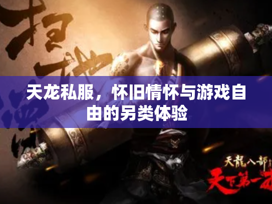 天龙私服，怀旧情怀与游戏自由的另类体验