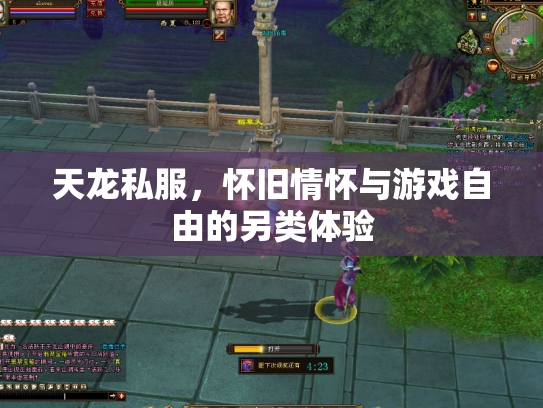 天龙私服，怀旧情怀与游戏自由的另类体验