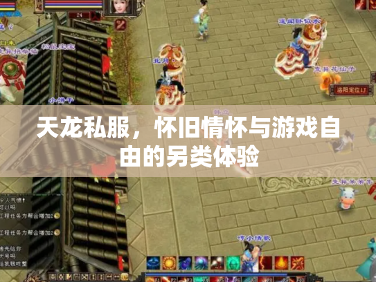 天龙私服，怀旧情怀与游戏自由的另类体验