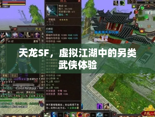 天龙SF，虚拟江湖中的另类武侠体验
