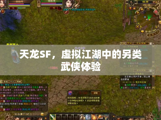 天龙SF，虚拟江湖中的另类武侠体验