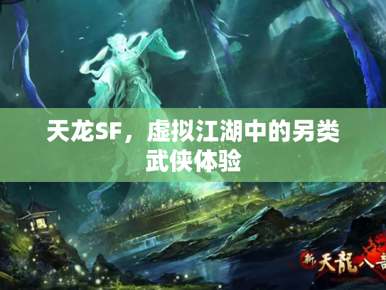 天龙SF，虚拟江湖中的另类武侠体验