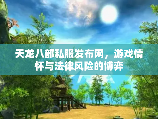 天龙八部私服发布网，游戏情怀与法律风险的博弈