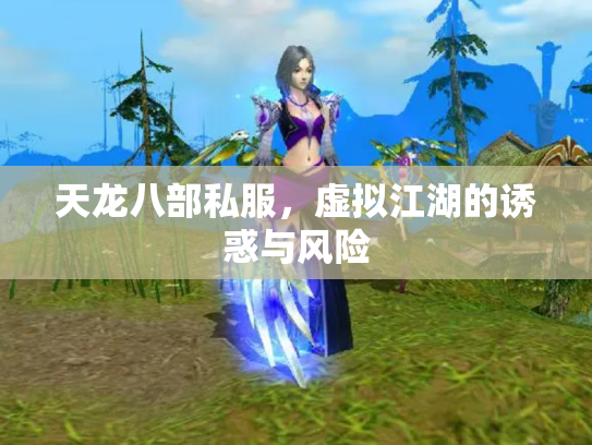 天龙八部私服，虚拟江湖的诱惑与风险