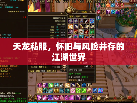 天龙私服，怀旧与风险并存的江湖世界