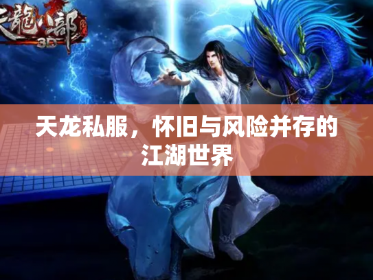 天龙私服，怀旧与风险并存的江湖世界