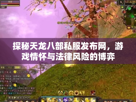 探秘天龙八部私服发布网，游戏情怀与法律风险的博弈