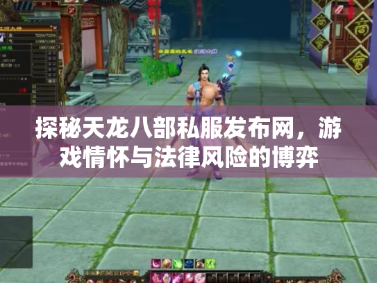 探秘天龙八部私服发布网，游戏情怀与法律风险的博弈
