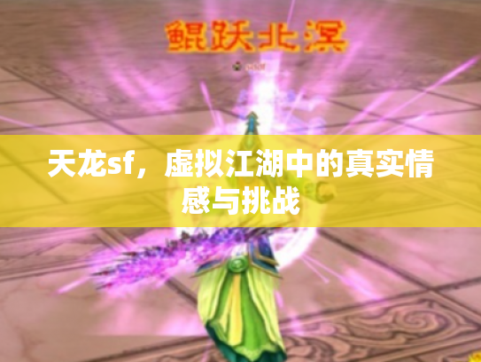 天龙sf，虚拟江湖中的真实情感与挑战