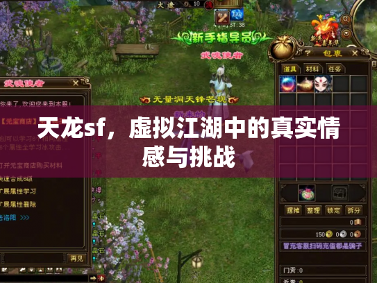 天龙sf，虚拟江湖中的真实情感与挑战