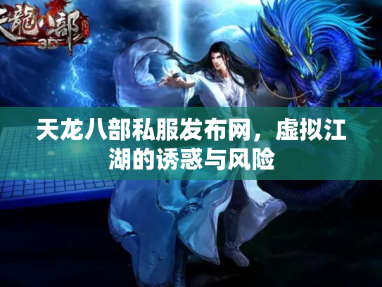 天龙八部私服发布网，虚拟江湖的诱惑与风险