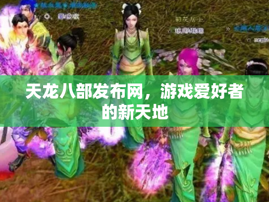 天龙八部发布网，游戏爱好者的新天地