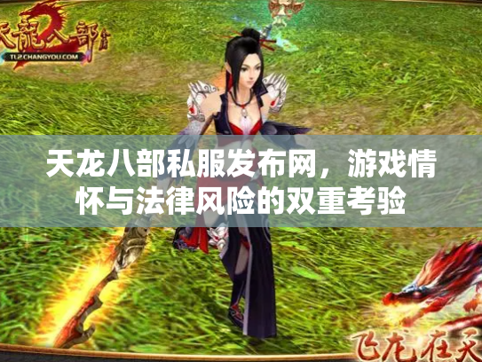 天龙八部私服发布网，游戏情怀与法律风险的双重考验