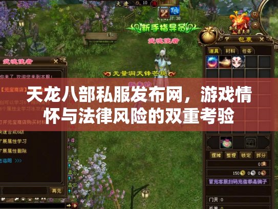 天龙八部私服发布网，游戏情怀与法律风险的双重考验