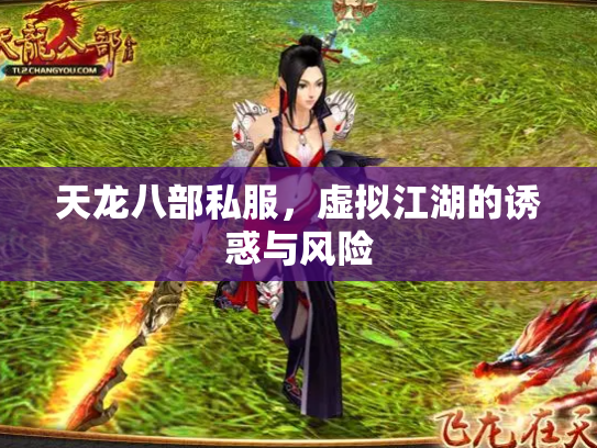 天龙八部私服，虚拟江湖的诱惑与风险