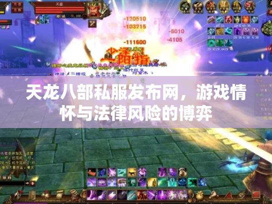 天龙八部私服发布网，游戏情怀与法律风险的博弈