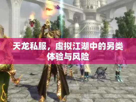 天龙私服，虚拟江湖中的另类体验与风险