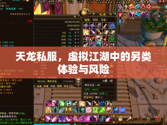 天龙私服，虚拟江湖中的另类体验与风险