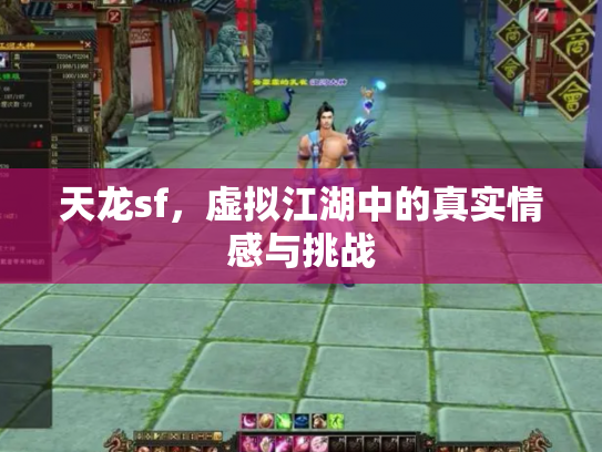 天龙sf，虚拟江湖中的真实情感与挑战