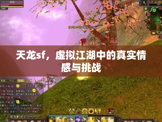 天龙sf，虚拟江湖中的真实情感与挑战