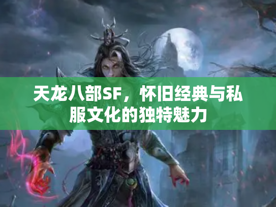 天龙八部SF，怀旧经典与私服文化的独特魅力