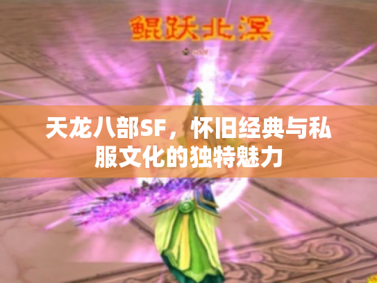 天龙八部SF，怀旧经典与私服文化的独特魅力