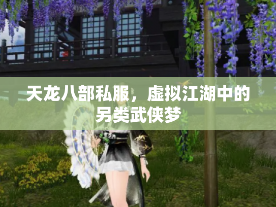 天龙八部私服，虚拟江湖中的另类武侠梦