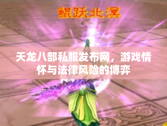 天龙八部私服发布网，游戏情怀与法律风险的博弈