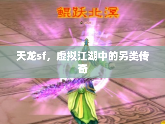 天龙sf，虚拟江湖中的另类传奇