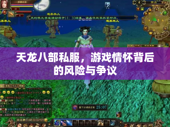天龙八部私服，游戏情怀背后的风险与争议