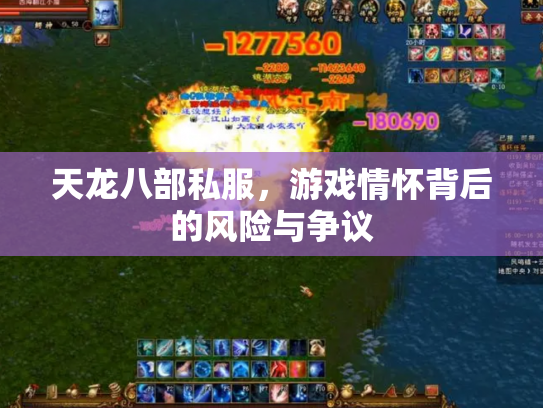天龙八部私服，游戏情怀背后的风险与争议