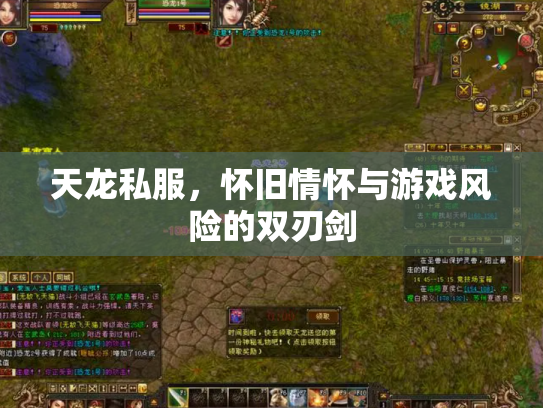 天龙私服，怀旧情怀与游戏风险的双刃剑