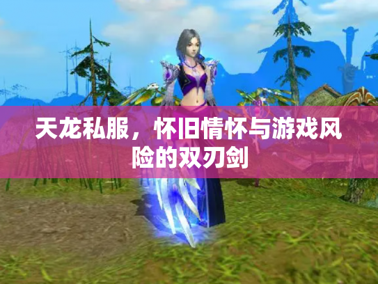 天龙私服，怀旧情怀与游戏风险的双刃剑