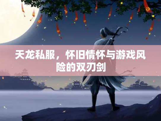 天龙私服，怀旧情怀与游戏风险的双刃剑
