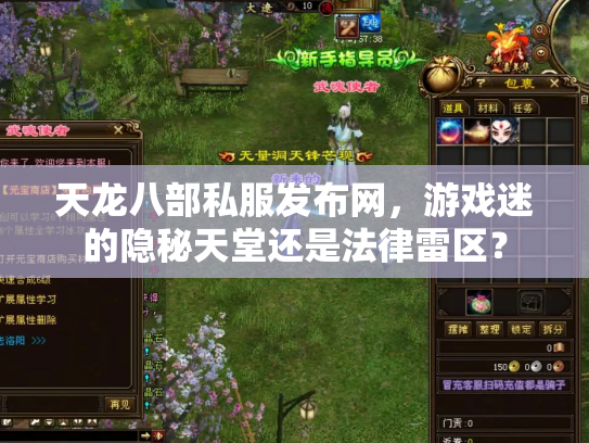 天龙八部私服发布网，游戏迷的隐秘天堂还是法律雷区？