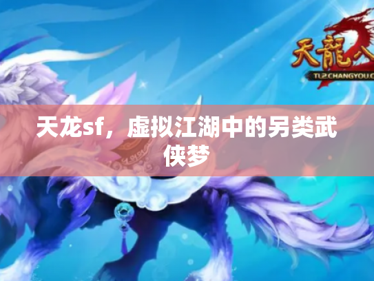 天龙sf，虚拟江湖中的另类武侠梦