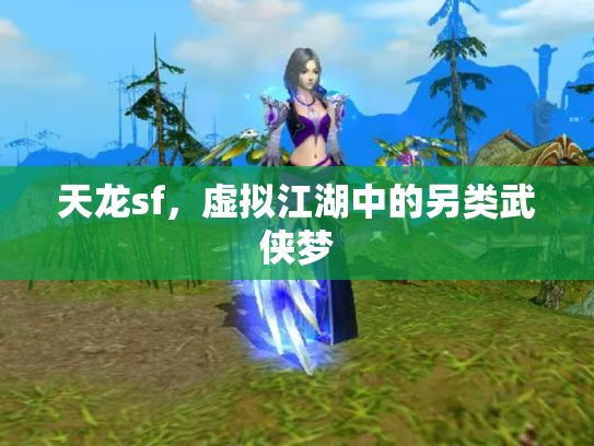 天龙sf，虚拟江湖中的另类武侠梦