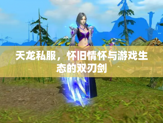 天龙私服，怀旧情怀与游戏生态的双刃剑