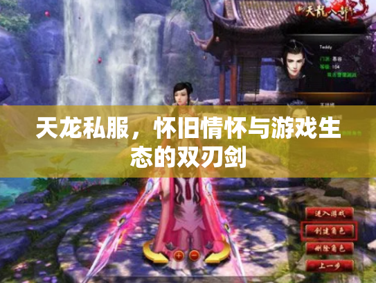 天龙私服，怀旧情怀与游戏生态的双刃剑