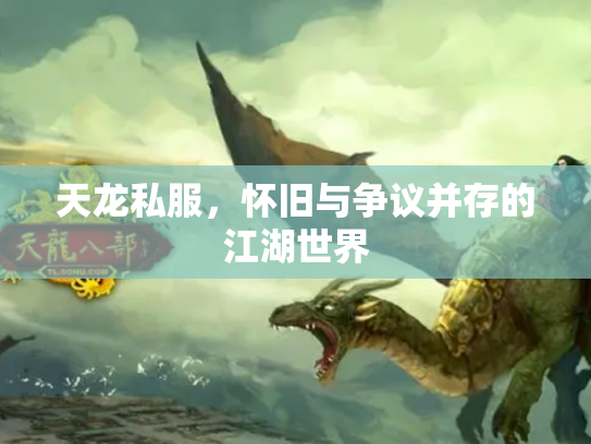 天龙私服，怀旧与争议并存的江湖世界