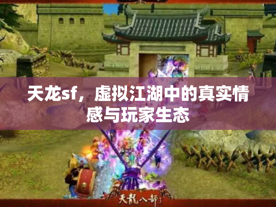 天龙sf，虚拟江湖中的真实情感与玩家生态