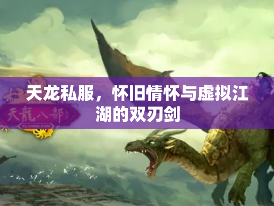 天龙私服，怀旧情怀与虚拟江湖的双刃剑