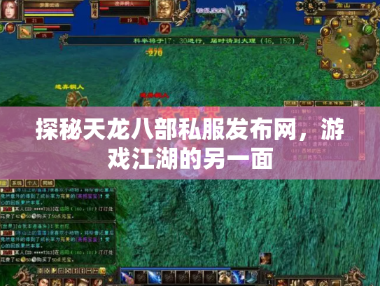 探秘天龙八部私服发布网，游戏江湖的另一面