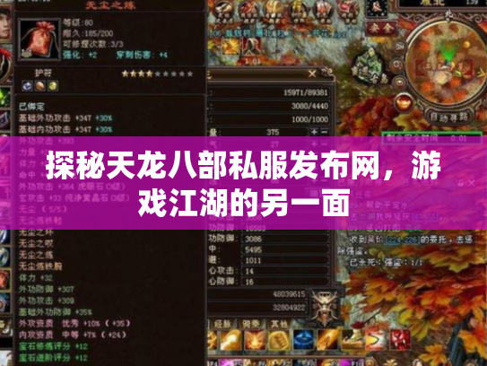 探秘天龙八部私服发布网，游戏江湖的另一面