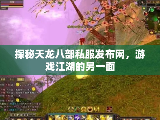 探秘天龙八部私服发布网，游戏江湖的另一面