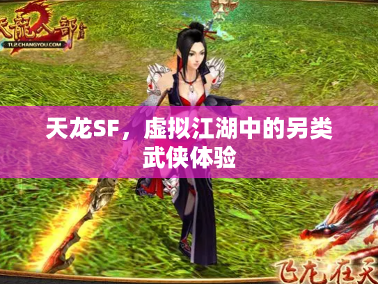 天龙SF，虚拟江湖中的另类武侠体验