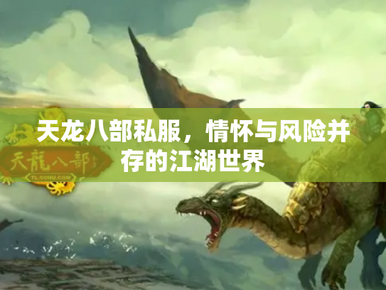 天龙八部私服，情怀与风险并存的江湖世界