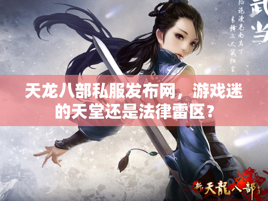 天龙八部私服发布网，游戏迷的天堂还是法律雷区？